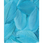 ARTEMIO Sachet de Plumes Turquoise