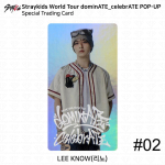 Stray Kids Maailmatuur DominATE CelebrATE POP-UP Eri Vahetuskaart KPOP K-POP Felix #1 gray
