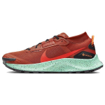 Nike Pegasus Trail 3 GTX Tugev Oranž Meeste Tossud Must T&auml;ielikult Oranž Habanero-Punane DC8793-800 42