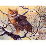 5D DIY Teemanttikandid Talvine lumekakk Teemantmaal Ristpistes Rhinestone Mosaiic Kodukaunistus 20X30CM