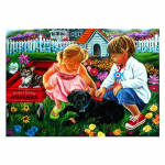 5D Teemantmaaling Cat Broderie Diamant Multifilm Teemantristpistes 20X30CM