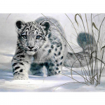 T&auml;isruudu/&uuml;mmargune teemantmaaling Loomade teemanttikandid Mustvalge Leopard 5D DIY Mosaiic Decoration Full Round 20X30CM punane