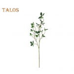 Simulatsioon, n&auml;rbumata oks DIY Suurendage eluj&otilde;udu kauakestvad peened lehed Toon lehed Kamellia lehtede foto tugi S