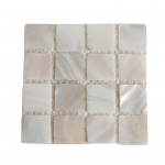 Natural Shell Square Coaster Mosaiic Soojusisolatsioon Kodukaunistus Asematid Fotograafia Rekvisiidid Matid S valge