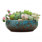 Keraamiline Lootose Kauss Istutusn&otilde;u Veealustele Taimedele Lekkimiskindel H&uuml;dropooniline Lillepott K&otilde;rgtemperatuuriline Keraamiline Kauss Sukkulentidele Akvaarium roheline