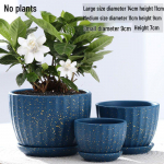 Suur keraamiline lillepott alusega Pothose, &auml;mbliktaimede ja sukulentide jaoks Ceramic Large