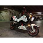 Honda MSX 125 2013 2014 2015 mootorratta mootorikaitse kate valge