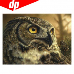 Loomade &ouml;&ouml;kulli teemanttikandid 5D DIY teemantmaal ristpistes pilt t&auml;is&uuml;mmargune teemant 20X30