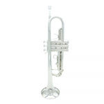 Trompet Bb B Flat Brass Exquisite koos huulikukinnastega