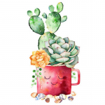 5D Teemanttikandid Potitaimed Ristpistes Taimelehed Teemantmaaling T&auml;is&uuml;mmargune puurmosaiik Kodukaunistuse kingitus Full Round 15x20CM