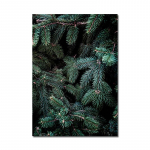 P&otilde;hjamaade plakat loodusmaastik, l&otilde;uend, maalimine, seinakunst M&auml;gij&auml;rve hirvede tr&uuml;kkimine elutoa sisekujunduseks dekoratiivsed pildid A4 21x30cm No Frame