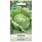 Antrad salat 1g salatiseemneid - WegAna