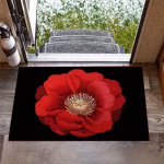 1 tk Red Rose Tere tulemast uksematt, mustusekindel libisemisvastane p&otilde;randapinna vaip Masinaga pestav imav vannimatt elutuppa magamistuppa vannitoa k&ouml;&ouml;ki 160*200cm