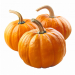 12 k&otilde;rvitsaseemnet &ndash; poolmetsik permakultuur