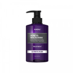 Kundal Honey & Macadamia Treatment 718ml (2 types, choose 1) Baby Powder [Renewal]