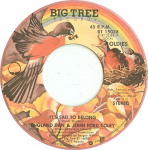 7-tolliline plaat ENGLAND DAN & JOHN FORD COLEY - It's Sad To Belong / We'll Never Ha BT15038 Big Tree Record USA Rock Kasutatud