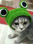 1 tk S/M Frog Lemmiklooma peakate koertele ja kassidele &ndash; k&auml;sitsi kootud villane peakate, armas stiilis transformeeritud kost&uuml;&uuml;m