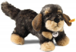 Steiff Morris taks 30