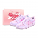 Nike Dunk Ostukott, Roosa Sinine Udu Saare Nahast Madalad Rula Kingad Unisex Valge FD1232-002(Team620-BOX) 35.5