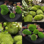 Marimo samblapallid kunstmuru kivimuru minihaldjaaia mikroterraarium S
