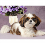 Ise tehes 5D teemantmaalingud loomad koerafoto teemanttikandid loomad kodukaunistuse kingitus 20X30CM