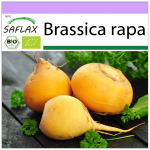 SAFLAX &ndash; Mahe &ndash; Naeris &ndash; Goldana &ndash; 500 seemet &ndash; Brassica rapa