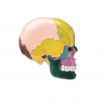 Blucome Special Design Medical Skull Model Pross Meeste Pross Mantlile M&uuml;tsin&otilde;elad Korsage Uusaasta Kingitused Aksessuaarid mitmev&auml;rviline
