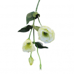 Erksav&auml;rviline simulatsioonilill Ei pea kastma Kaunist pleekimatut fotorekvisiiditaime helelilla v&auml;rv