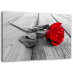 Feeby l&otilde;uenditr&uuml;kk, punane roos 60x40 punane