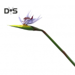 Kunstlilled, elutruu paradiisilind Realistlik, pleekimatu ja v&auml;hese hooldusega kodukaunistus roheline