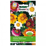 Gazania l&auml;ikiv lilleseemnete segu 0,3g aeda