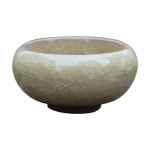 Dekoratiivne 8 v&auml;rvi Mood &Otilde;rn Kompaktne Mini Lihtne sukulentsete Taimede istutusmasin Sukulentide pott