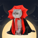 Halloweeni kassi koerte kost&uuml;&uuml;mikeep, lemmikloomakost&uuml;&uuml;m kassidele ja v&auml;ikestele koertele, cosplay pidu, kassir&otilde;ivad Halloweeni peo kaunistamiseks One Size