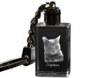 Chartreux - Crystal pendant with cat photo, illuminated pendant, unique gift by Art-Dog brand