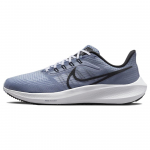 Nike Air Zoom Pegasus 39 Ashen Slate Meeste Tennised Sinine Jalgpallihall Kobalt-Bliss DH4071-401 44