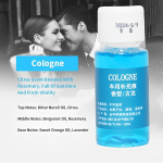 10 ml auto &otilde;huv&auml;rskendajad parf&uuml;&uuml;mi t&auml;itmine auto &otilde;huava parf&uuml;&uuml;mi t&auml;idis eeterlike &otilde;lide aroomi difuusor l&otilde;hna niisutaja