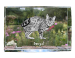 Bengal - crystal with a picture of a cat, photo in glass, modern exhibition of Art-Dog brand photo puhas