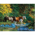 Teemantmaaling Horse Group Tikand Mosaiik Ristpistes Rhinestone Dekoratsioon 20X30CM