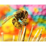 3D DIY Teemanttikandid Ristpistemaaling  Mesilase armastuse lill  Teemantmaal Kodukaunistus 20X30CM