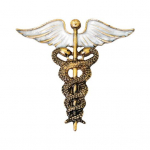 Retro Snake Wings sulamist naiste pross, kampsun mantel riidekoti ornament