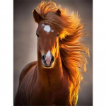 Teemanttikandid hobune T&auml;is&uuml;mmargune n&auml;put&ouml;&ouml; Teemantmaaling Loomade mosaiik K&auml;sit&ouml;&ouml; Kodukaunistus Full Round 20x30CM