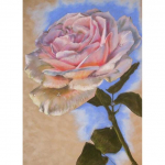 5D Teemantmaalivaas Teemanttikandid V&auml;rske lille Ristpistega T&auml;is&uuml;mmargune &uuml;mmargune puur Seinakunst Pilt K&auml;sitsi valmistatud kingitus Full Round 20x30CM