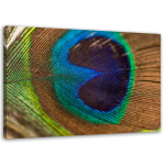 L&otilde;uendiprint Peacock Bird Feather 60x40 sinine