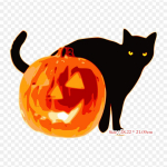 Halloweeni musta kassi k&otilde;rvits Must kassiraud soojus&uuml;lekandel tr&uuml;kkimisel Vin&uuml;&uuml;lplaastrid kleebis riietele Ise ise teha aplikatsioonid pestavad plaastrid