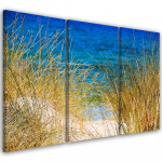 Kolmeosalise pildiga l&otilde;uenditr&uuml;kk Grass Sea Beach 60x40 mitmev&auml;rviline