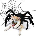 Lemmikloomade Halloweeni Naljakas &Auml;mblik Rindkere Selg Loov Kass Koer V&auml;ike Koer Transformatsiooni Kost&uuml;&uuml;m L