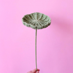 Pulmad Lootose L&otilde;ng Heegeldatud Dekoratiivsed Valmis Kudumid Kudumislilled Kootud Roos Lilled