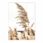 Beež muru lill pilliroo l&otilde;uend maalimine s&uuml;gisene maastik Orav lammas seinakunsti tr&uuml;kised P&otilde;hjala plakatid Pilt Elutoa sisustus 21x30cm No Framed