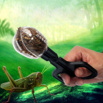 Klassikaline akvaariumi pesakonna sinine l&auml;bipaistev roomajate kakaklambri t&ouml;&ouml;riistakomplekt Uus