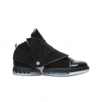 Jordan 16 Retro Ceo 270